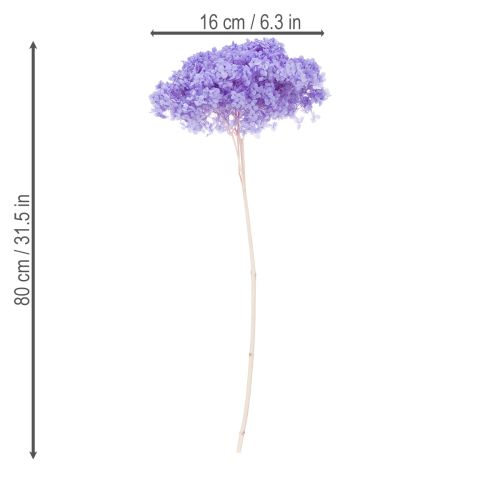 Artikel Trockenblume Hortensie zur eleganten Raumgestaltung und Dekoration 80cm