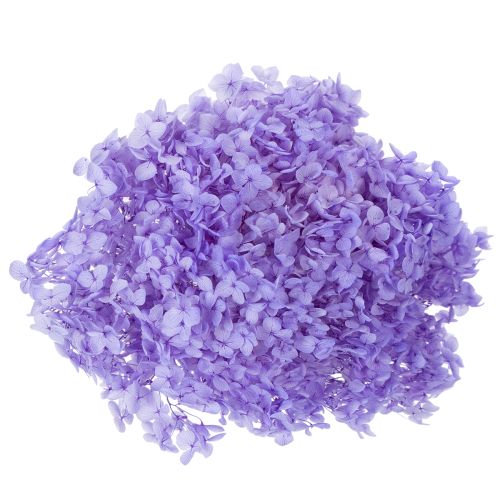 Artikel Trockenblume Hortensie zur eleganten Raumgestaltung und Dekoration 80cm