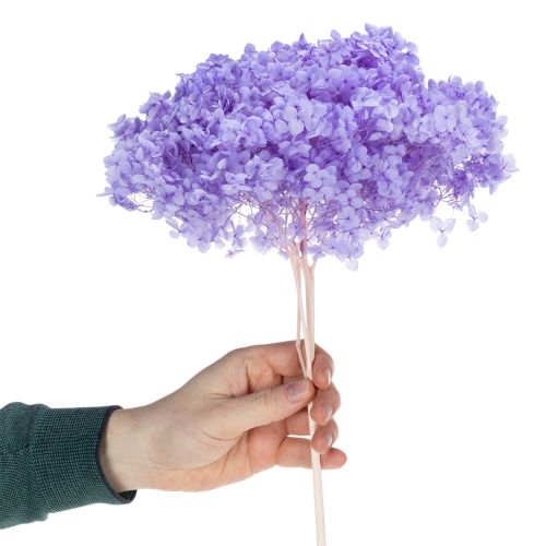 Artikel Trockenblume Hortensie zur eleganten Raumgestaltung und Dekoration 80cm