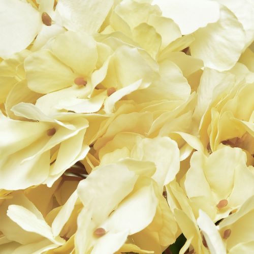 Floristik24 Hortensien Strauß Kunstblumen Gelb 5 Blüten 48cm