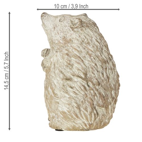Artikel Igel Herbstdeko Figur Steinguss Weiß gewaschen H14,5cm