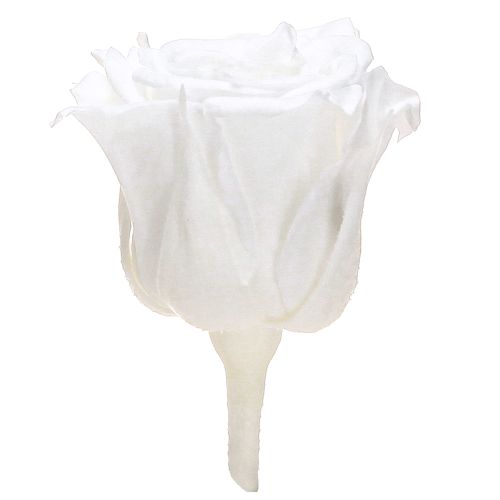 Artikel Infinity Rosen Echte Rosenköpfe Mini Rosen Weiß Ø3cm 16 St