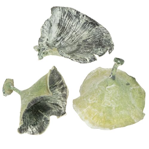 Artikel Kalix Pilz Grün, Weiß gewaschen 100 St