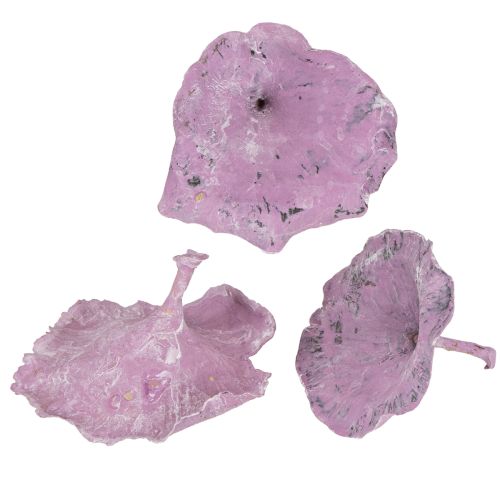 Artikel Kalix Pilz Lila, Weiß gewaschen 100 St