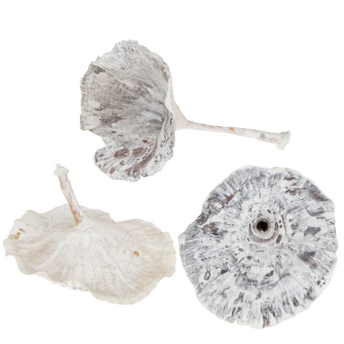 Artikel Kalix Pilz Weiß gewaschen 100 St