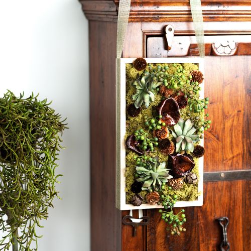 Kalix Pilz Natur lackiert Trockenpilze Deko Groß 50 St