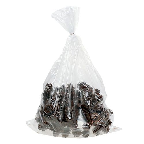 Artikel Kiefernzapfen gewachst angedrahtet 100 St