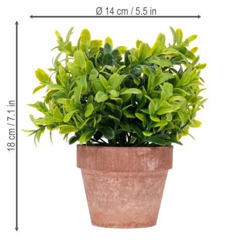 Artikel Kunstpflanze im Blumentopf mit realistischer Textur für Innenräume und Dekoration 18cm 3St