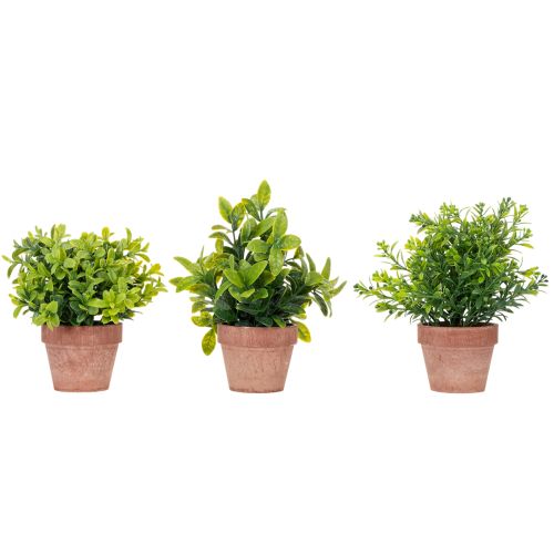 Kunstpflanze im Blumentopf mit realistischer Textur für Innenräume und Dekoration 18cm 3St | Floristik24.de