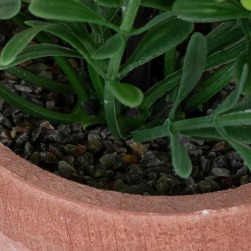 Kunstpflanze im Blumentopf mit realistischer Textur für Innenräume und Dekoration 18cm 3St | Floristik24.de
