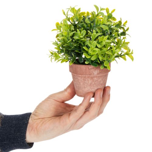 Kunstpflanze im Blumentopf mit realistischer Textur für Innenräume und Dekoration 18cm 3St | Floristik24.de