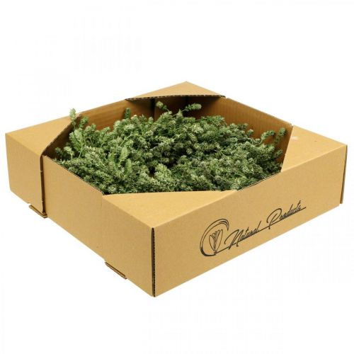 Artikel Weihnachtskranz Grün Trockenblumenkranz Leinenkraut Ø34cm