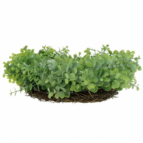 Artikel Kranz Eukalyptus Grün Ø36cm