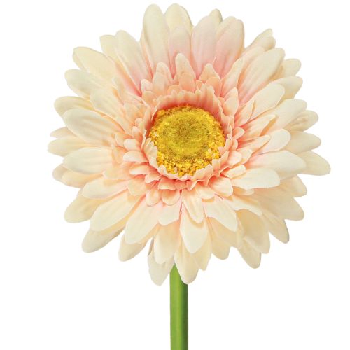 Künstliche Blumen Gerbera Apricot 47cm