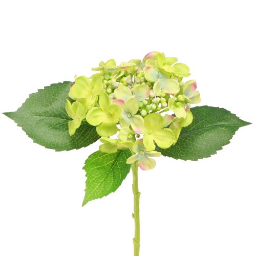 Floristik24 Künstliche Hortensien Grün Blüten Blätter L43cm 2St