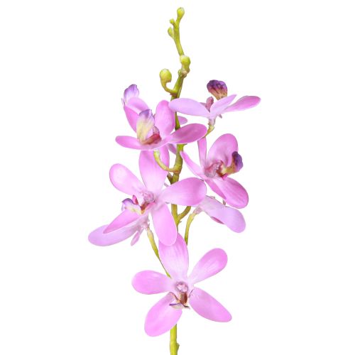 Floristik24 Künstliche Orchideen 8 lila Blüten Ø3,5cm–5cm 2St