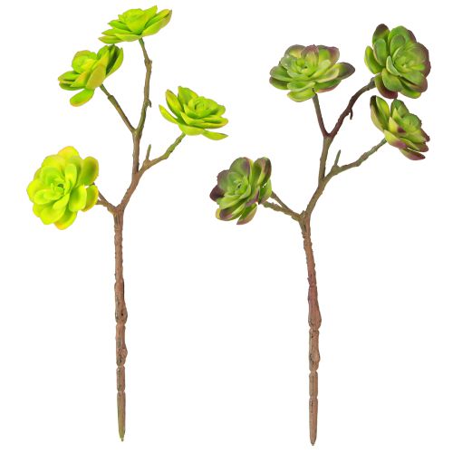Artikel Künstliche Sukkulenten mit Stiel Grün Lila Sortiert 32cm 2St