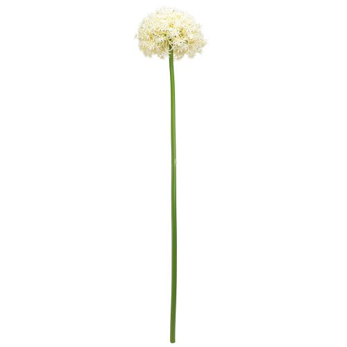 Artikel Künstlicher Allium Creme Weiß Zierlauch Ø18cm L90cm