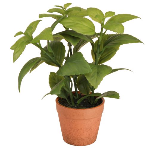 Floristik24 Künstlicher Basilikum im Topf Kräutertopf Kunstpflanze 22cm 2St