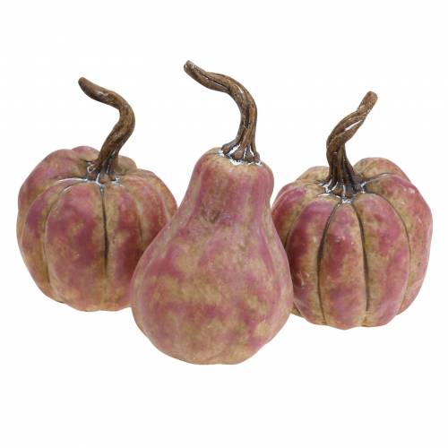 Floristik24 Mini-Kürbis-Set Orange, Flieder Ø6,5–7cm 6 St