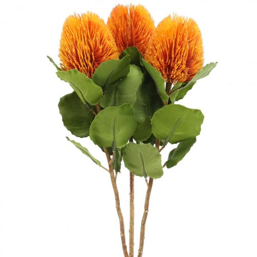 Artikel Kunstblumen, Banksia, Proteaceae Orange L58cm H6cm 3 St