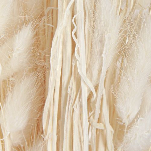 Artikel Trockenblumen Lagurus Natur – Flauschiges Hasenschwanzgras in Creme-Weiß 55-70cm 100g