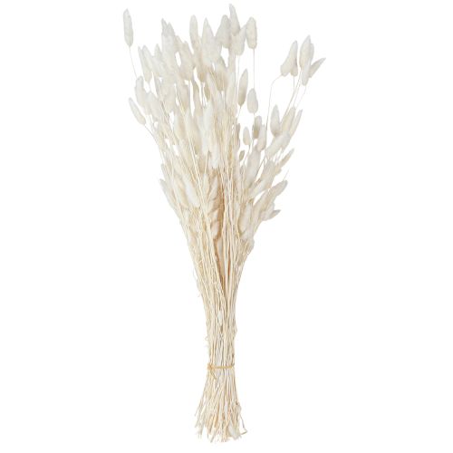 Artikel Trockenblumen Lagurus Natur – Flauschiges Hasenschwanzgras in Creme-Weiß 55-70cm 100g
