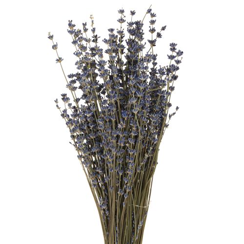 Artikel Lavendel Trockenblumen Deko Natur 100g 40cm 100g × 2St