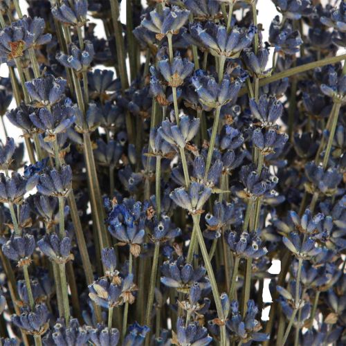 Artikel Lavendel Trockenblumen Deko Natur 100g 40cm 100g × 2St