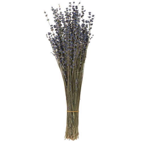 Artikel Lavendel Trockenblumen Deko Natur 100g 40cm 100g × 2St