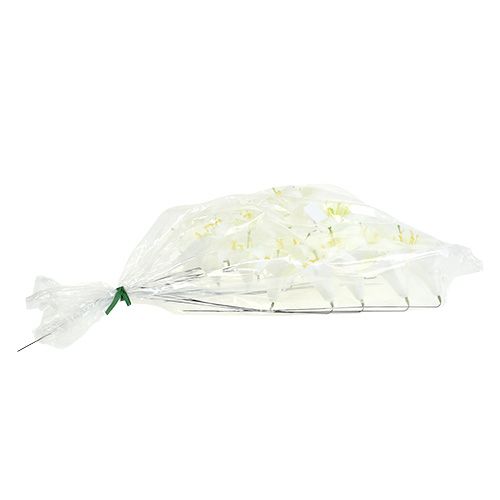 Artikel Lilie am Draht mittel 25 St