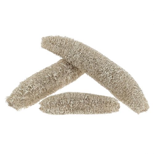 Artikel Luffa groß Weiß gewaschen 20 St