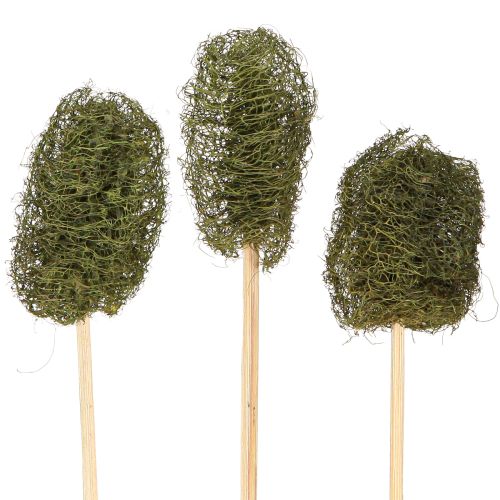 Artikel Luffa klein am Stiel Schwammgurke Dunkelgrün 5-7cm 25 St