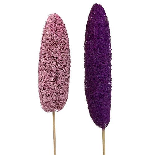 Artikel Luffa am Stiel groß Rosa, Erika 8cm - 30cm 25 St