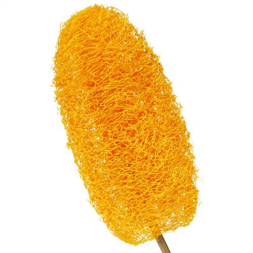 Artikel Luffa groß am Stiel Goldgelb 25 St