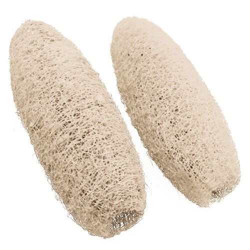 Artikel Luffa groß gebleicht 20 St