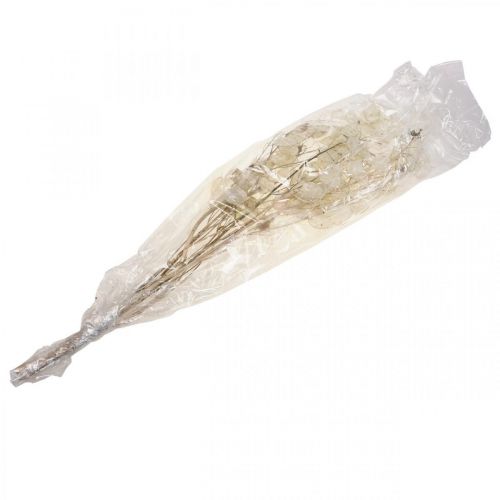 Artikel Lunaria Trockenblumen Mondviole Silberblatt getrocknet 60-80cm 30g