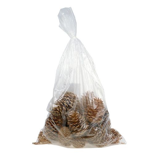 Artikel Maritima Zapfen Creme-Vanille gemischt 5-18cm 25 St