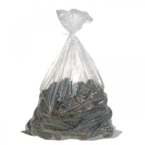 Artikel Maritima Zapfen, Trauerfloristik, Adventsdeko, Naturprodukt H12–15cm Ø6,5–10cm 50 St