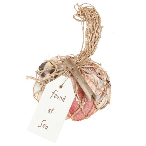 Floristik24 Maritime Deko Muscheln Mix im Netz Bunt 3,5-6cm 300g × 3St