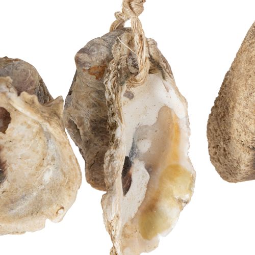 Artikel Holzdeko maritimes Flair Wanddeko Naturmaterialien für Sommerdeko Strandhaus 50cm