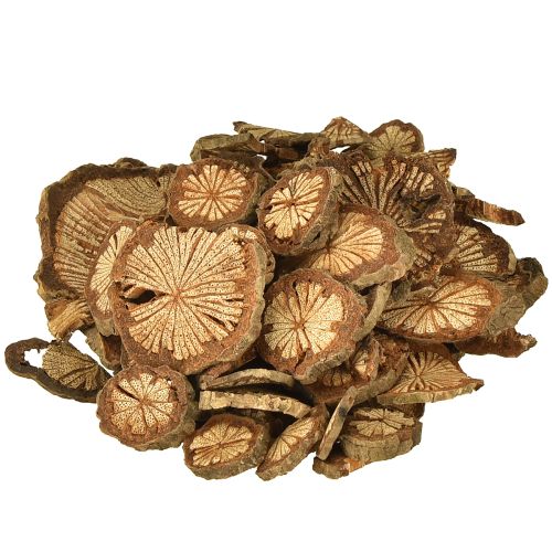 Artikel Mini Holzscheiben Betelnuss Deko mit Maserung 1-4,5cm 300g