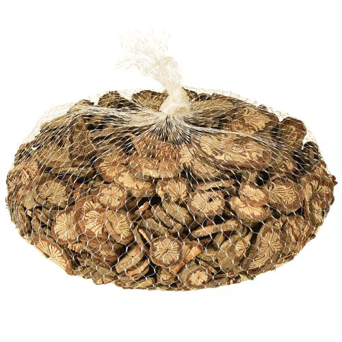 Artikel Mini Holzscheiben Betelnuss Deko mit Maserung 1-4,5cm 300g