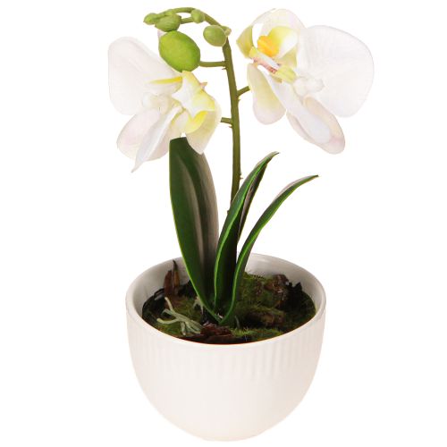 Floristik24 Mini Orchideen künstlich Weiße Orchideen im Topf 15cm
