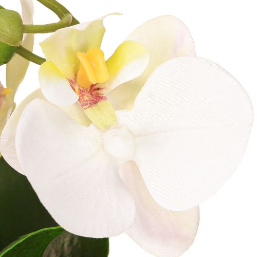 Artikel Mini Orchideen künstlich Weiße Orchideen im Topf 15cm