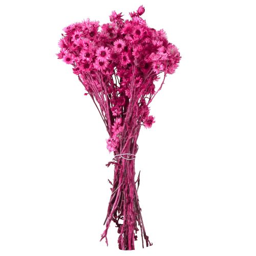 Artikel Mini Strohblume Pink Trockenblumen Felsblume H20cm 15g