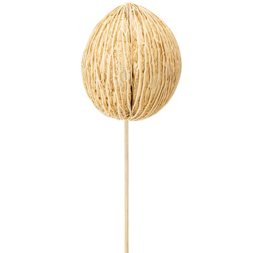 Floristik24 Mintolla Ball gebleicht 8cm - 10cm L46cm 6 St