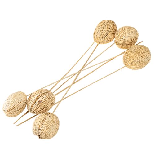 Artikel Mintolla Ball gebleicht 8cm - 10cm L46cm 6 St