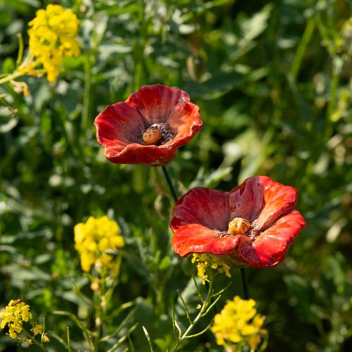 Artikel Mohnblumen Gartendeko Stecker perfektes Dekoelement für Ihren Garten 42cm 4St