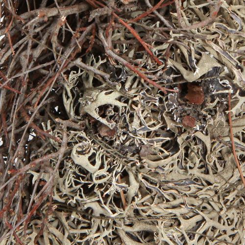 Artikel Mooskranz mit Mauskraut Graumoos Kranz Flechten Ø30cm